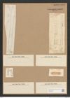 Cymatopleura sp. (de-Toni-Nr.: Genus 54) Zeichnungen Sammlung Grunow Nr. 4868 (NHMW-BOT-W0373050)